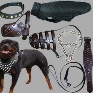Dog Training Equipments