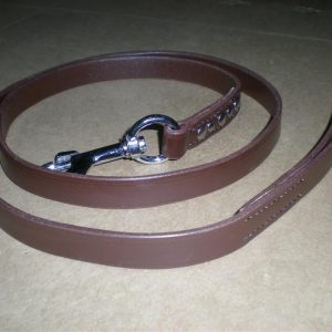 Black Dog Collar Lead ( XPT-367)