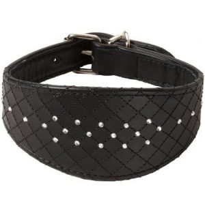 Leather Dog Collar (XPT-4112)