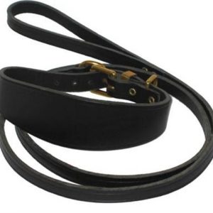 Leather Dog Collar (XPT-4114)