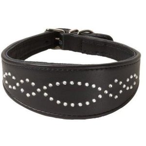 Leather Dog Collar (XPT-4116)