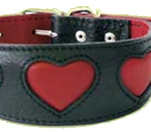 Leather Dog Collar (XPT-4117)