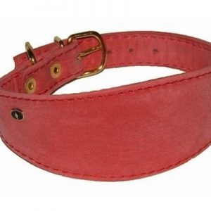 Leather Dog Collar (XPT-4119)