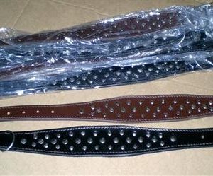 Leather Dog Collar (XPT-4121)
