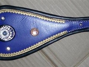 Leather Dog Collar (XPT-4134)