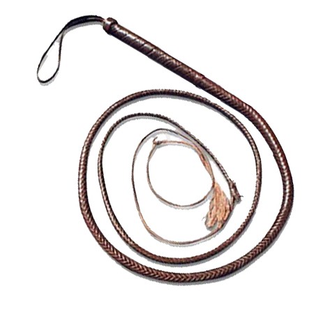 Dog Whip (XPT-381)
